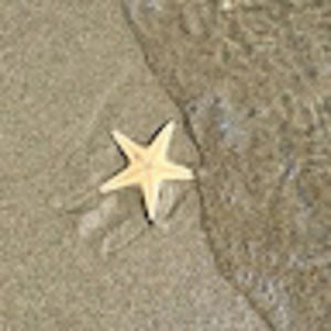 Meet your Posher, Alyson